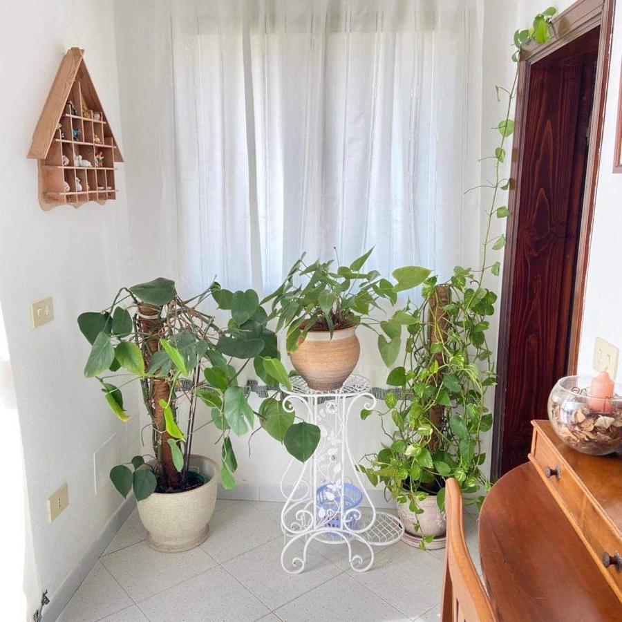 Casa Maltinu Villa Санта Тереза Галура Екстериор снимка